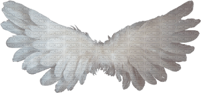 wing-white - PNG gratuit