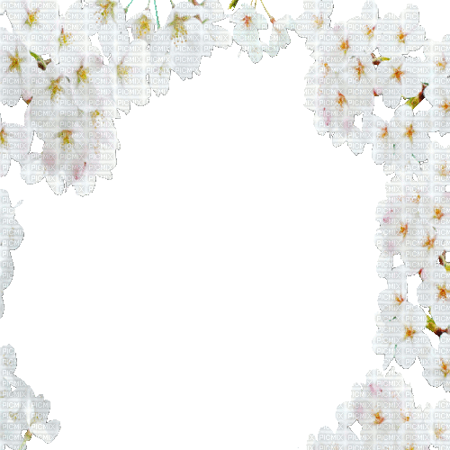 Y.A.M._Spring Flowers Decor - GIF เคลื่อนไหวฟรี