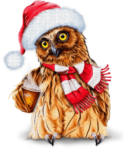 christmas owl by nataliplus - nemokama png
