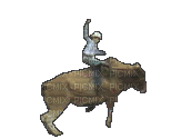 Bucking Bull Rider - Free animated GIF