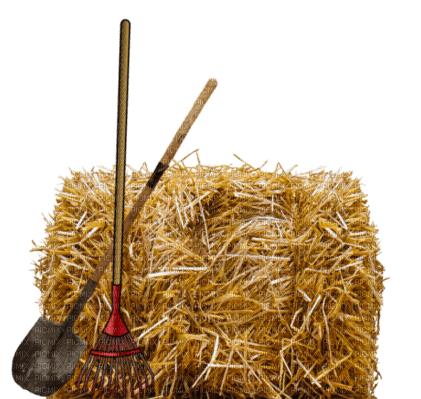 Hay.Straw.Paille.Farm.Ferme.Victoriabea - 免费PNG