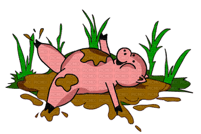 cochon - Zdarma animovaný GIF