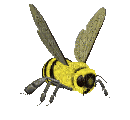 bee biene abeille summer ete sommer insect spring printemps animal animals animaux gif anime animated animation tube mignon - Бесплатный анимированный гифка