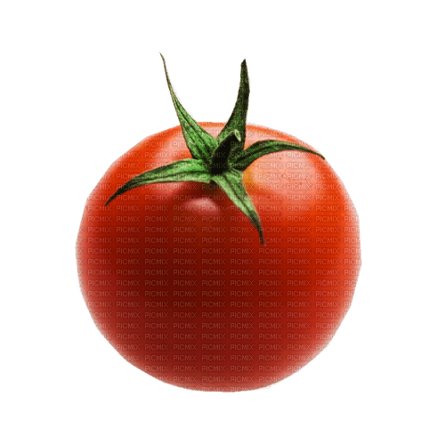 tomate - PNG gratuit