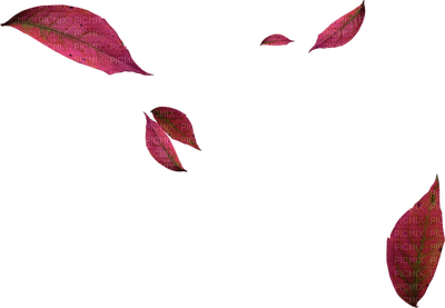 minou-Leaves-löv-blad - Free PNG