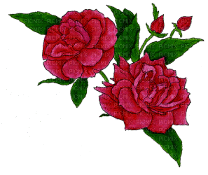 rosas-l - Бесплатный анимированный гифка