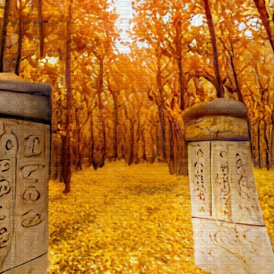 Fantasy Autumn Forest - png gratis