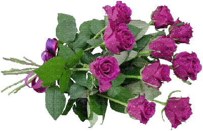 bouquet - Nitsa - Безплатен анимиран GIF