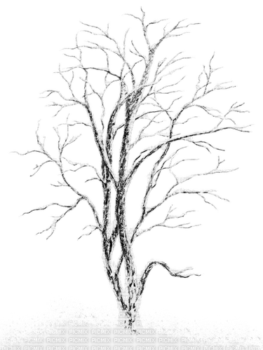 Árbol en invierno - δωρεάν png