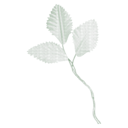 kikkapink deco scrap white leaves branch - PNG gratuit
