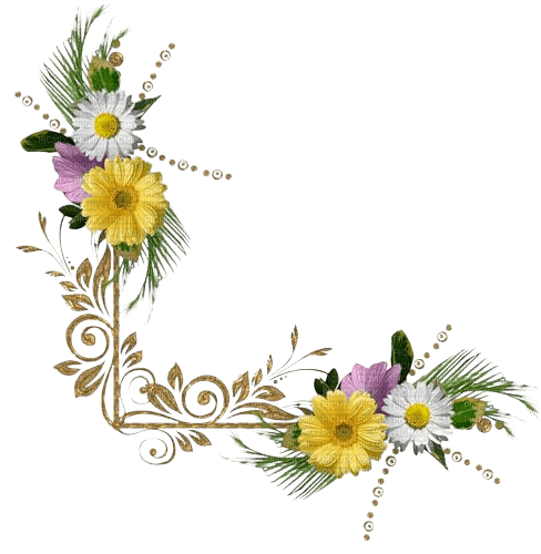 Coin marguerites - Free PNG