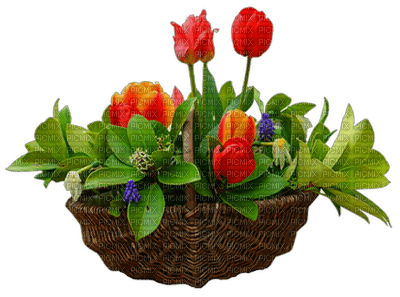 Basket of flowers - фрее пнг