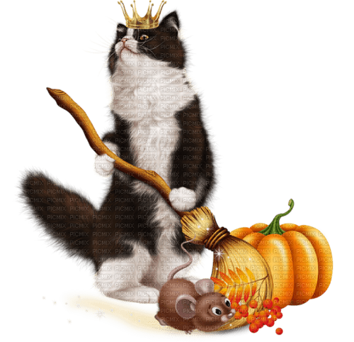 Halloween Katze Cat - безплатен png