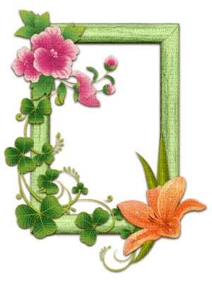 flower,frame,green - png grátis