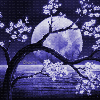 Y.A.M._Japan landscape background blue - Kostenlose animierte GIFs