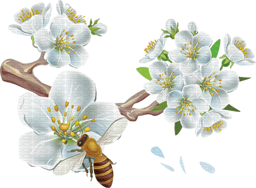 loly33 fleur abeille - darmowe png