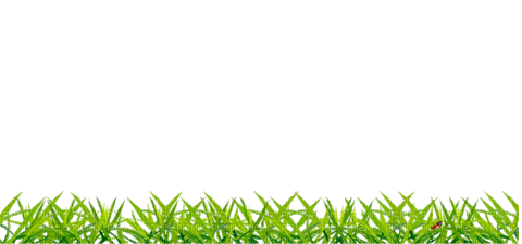 Nina grass - Gratis animeret GIF