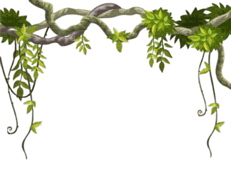 tree/branch - Free PNG