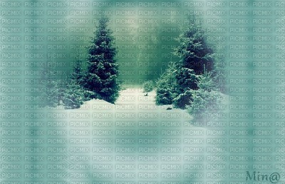 minou-winter background-Fond d'hiver-sfondo invernale-vinter bakgrund - png ฟรี