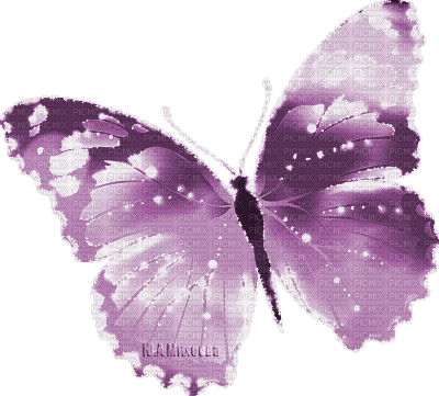 Y.A.M._Fantasy Butterfly purple - Gratis animerad GIF
