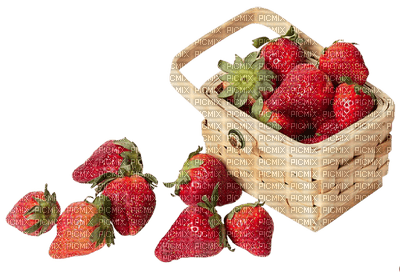 obst - Free PNG