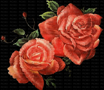 ROSE - Δωρεάν κινούμενο GIF