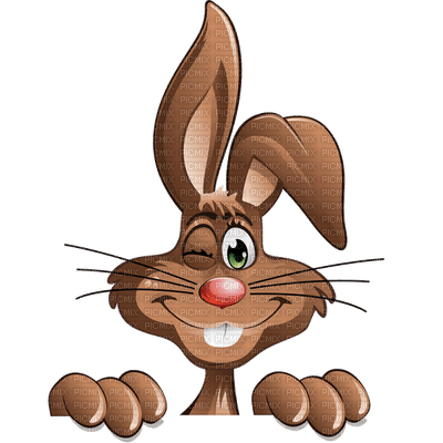 easter bunny lapin pâques - nemokama png