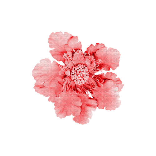 kikkapink deco love valentine pink flower - δωρεάν png