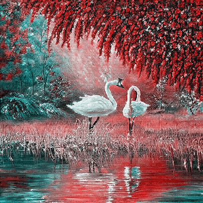 kikkapink autumn background swan lake - Gratis animeret GIF