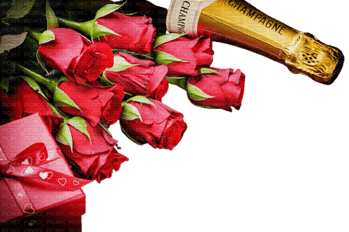 Champagne Rose Red Box Gold - Bogusia