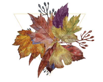 Autumn leaf - ücretsiz png