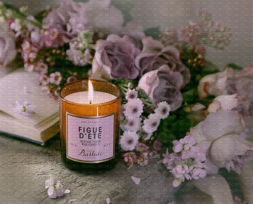 Still Life Candle - Free animated GIF
