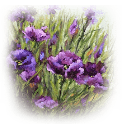 flores lila dubravka4 - png ฟรี