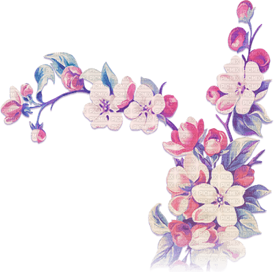 soave deco branch spring flowers fruit apple - 免费PNG