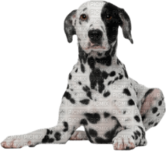 Kaz_Creations Dog Pup - png gratis