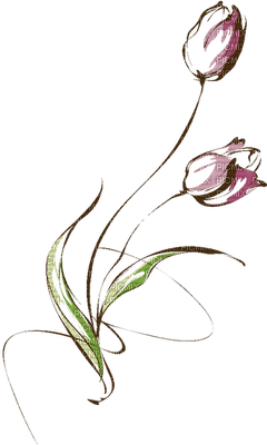 Tulipany deco - nemokama png