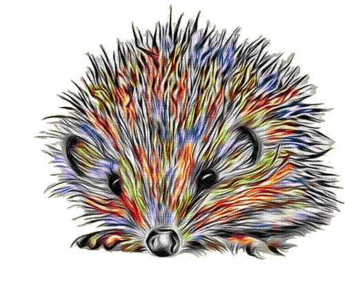 nbl-Hedgehog - ingyenes png