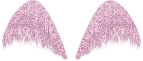 flügel wings - zdarma png