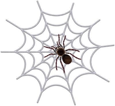 spider web bp - Free PNG
