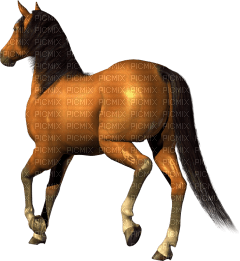 Kaz_Creations Horse - besplatni png