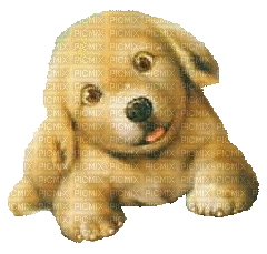 Dog - Zdarma animovaný GIF