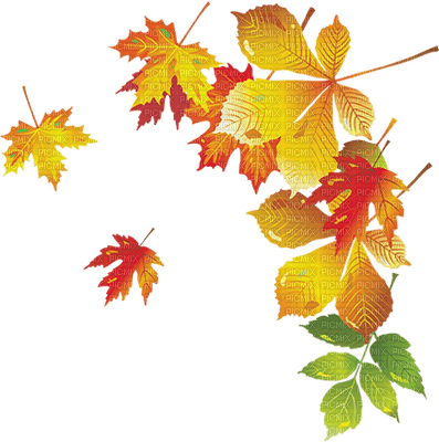 leaves autumn feuilles automne - zdarma png