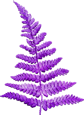 soave deco branch grass animated purple - Gratis animeret GIF