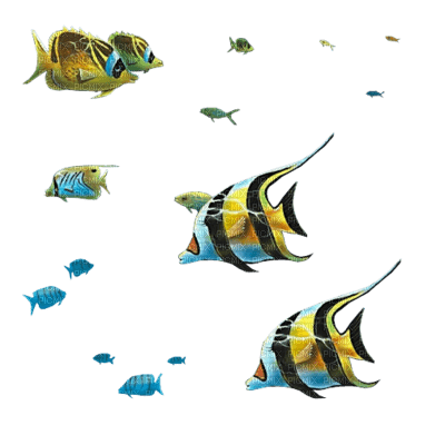 tube animaux aquarium - png grátis