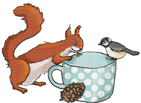 Squirrel and Bird - Free animated GIF
