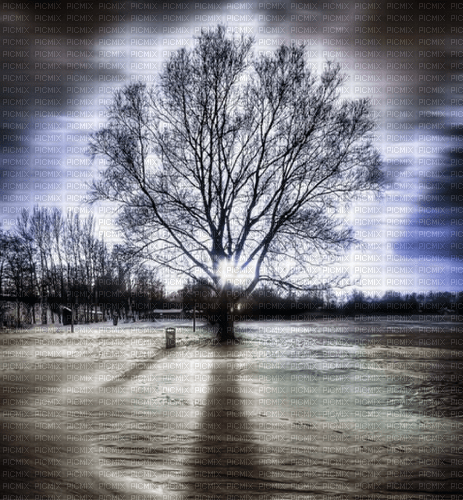 Winter background Art - PNG gratuit