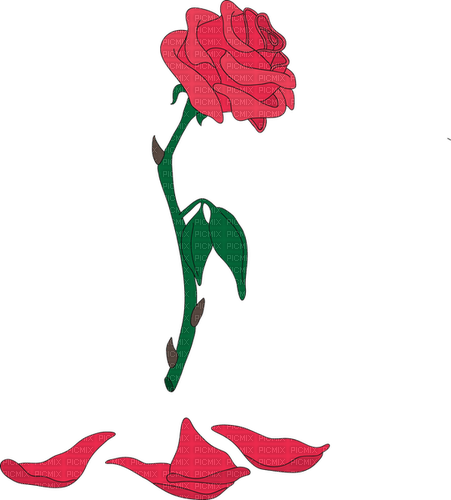 red rose with falling petals - kostenlos png