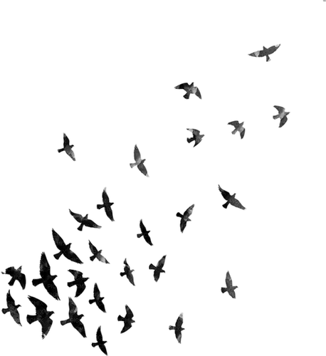 flock of birds - PNG gratuit