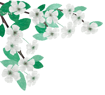soave deco branch animated flowers  spring corner - GIF animado gratis