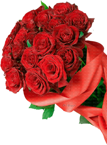 Y.A.M._Flowers bouquets - bezmaksas png